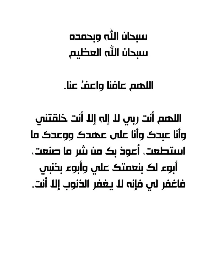 الصفحة 13