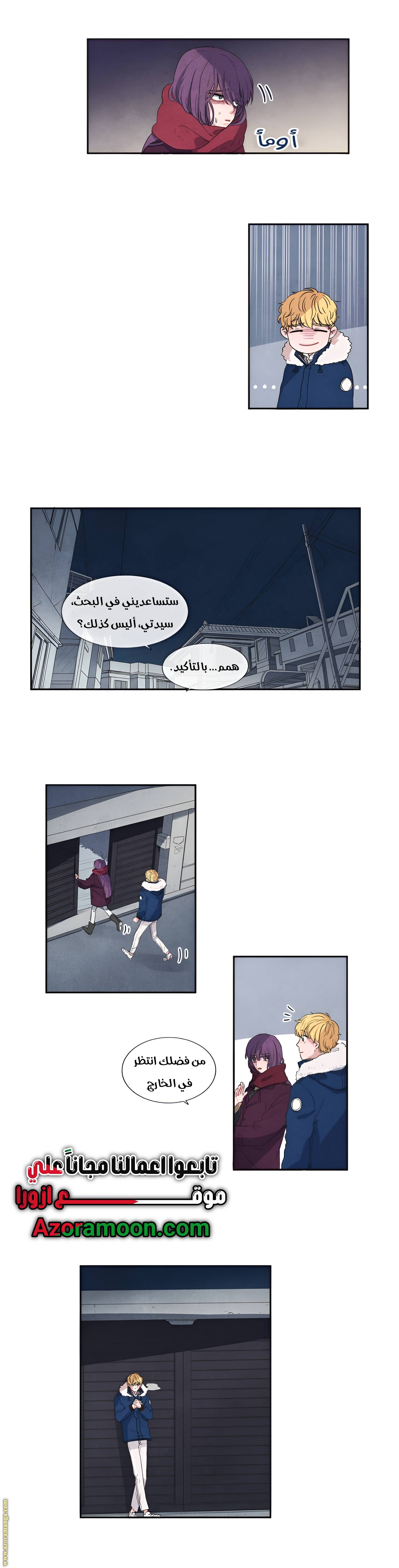 الصفحة 17