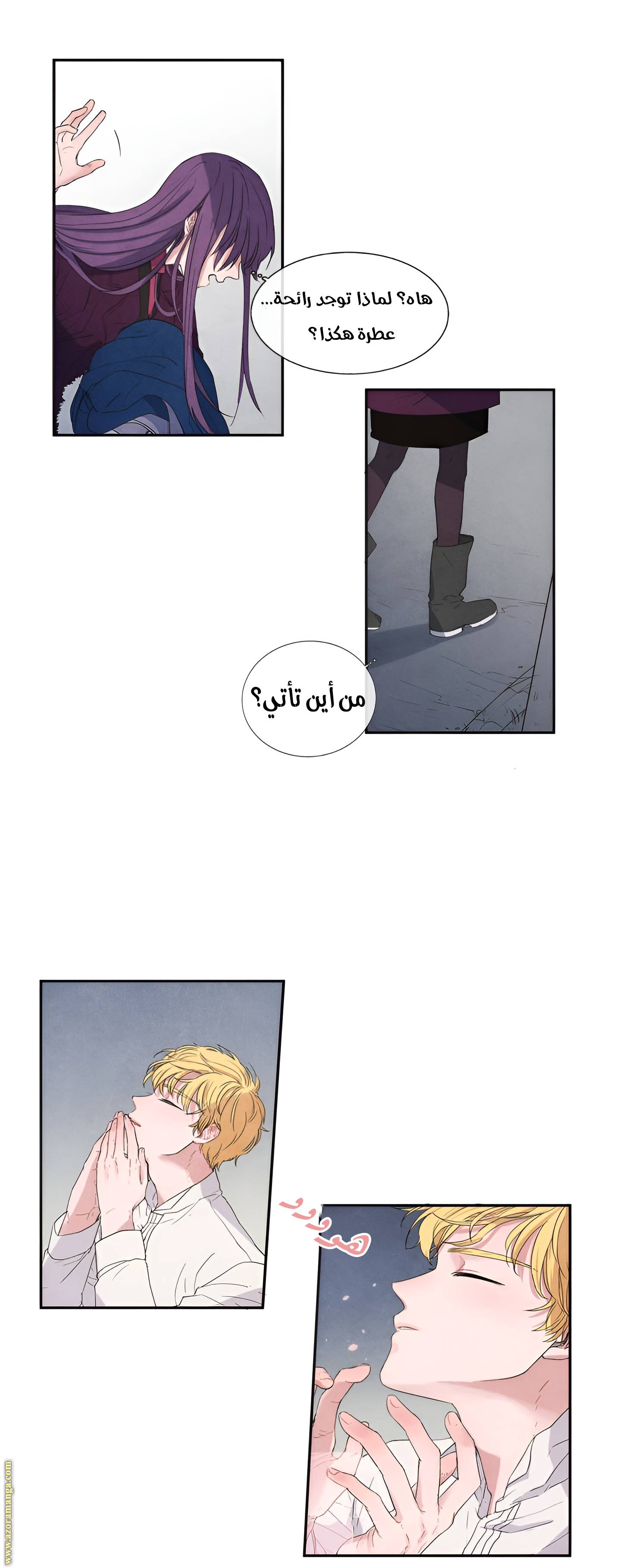 الصفحة 25