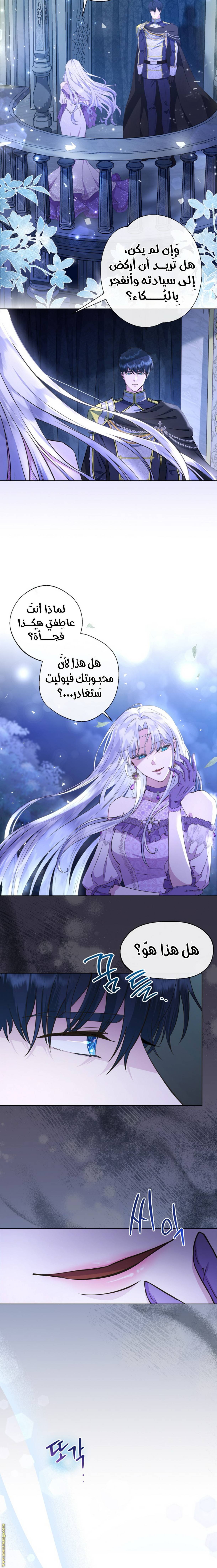 الصفحة 8