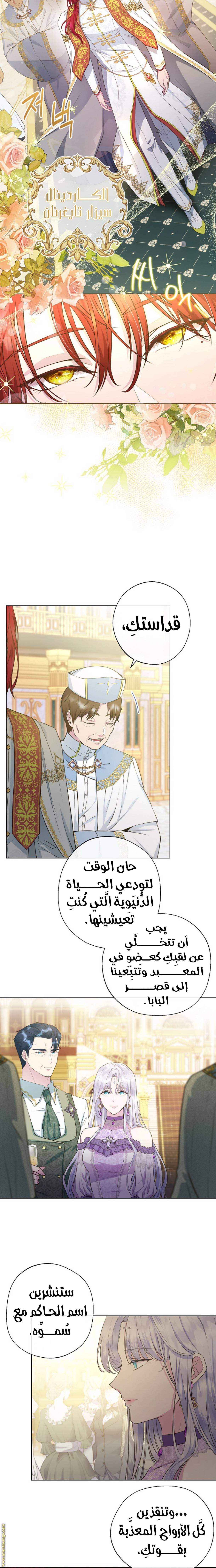 الصفحة 11