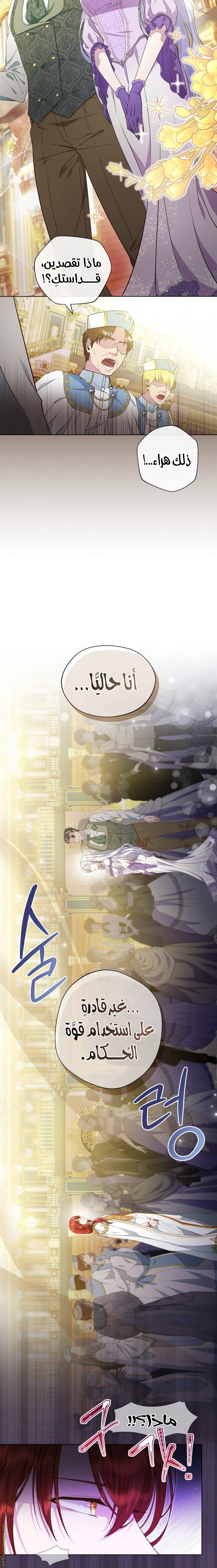 الصفحة 13