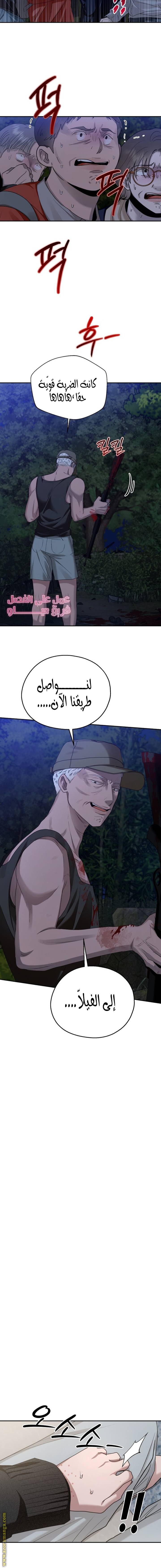 الصفحة 17