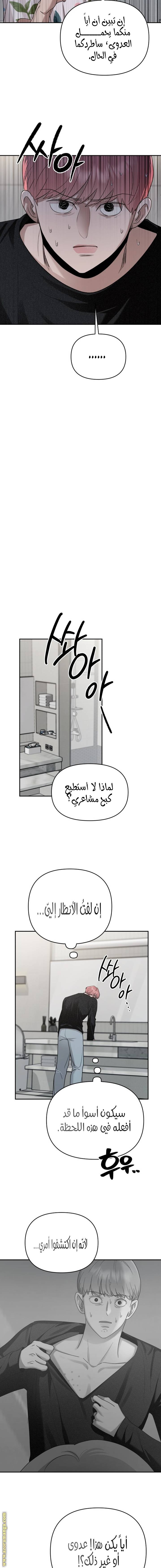 الصفحة 17