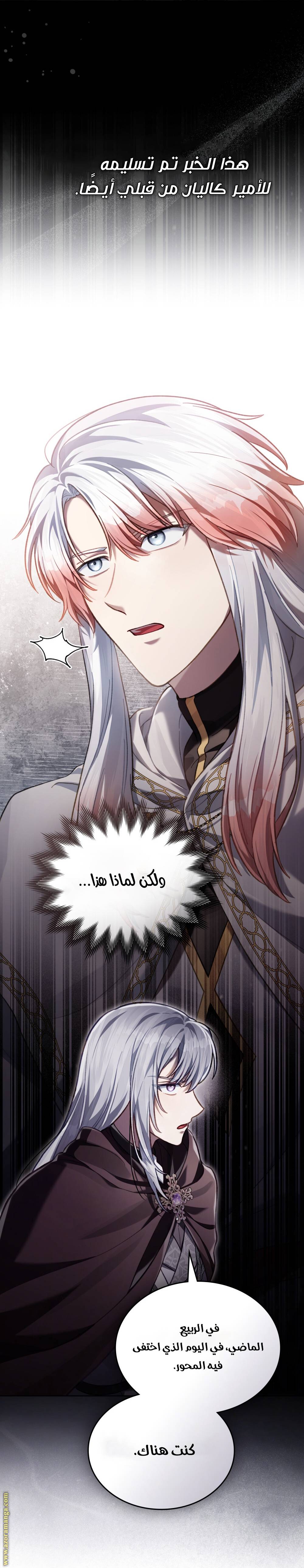 الصفحة 25