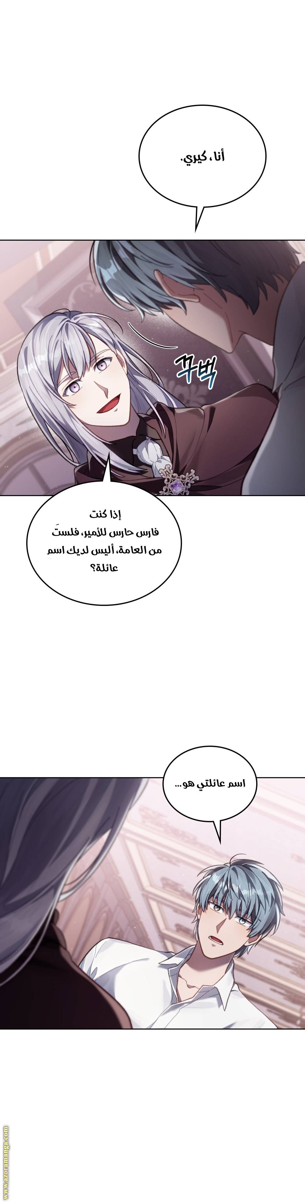 الصفحة 13