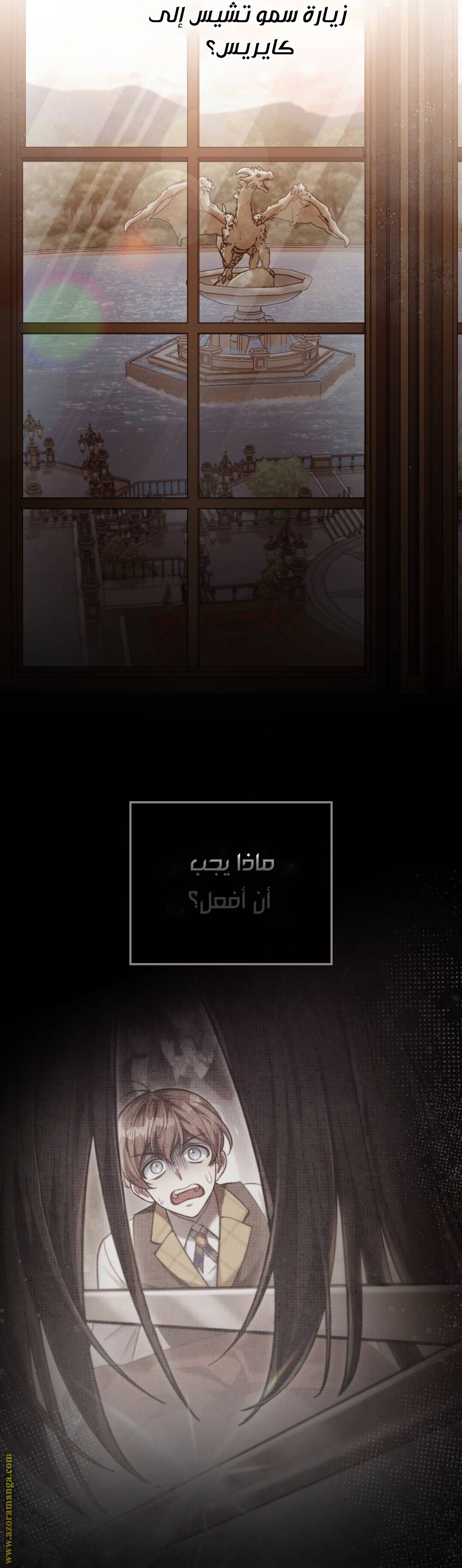الصفحة 17