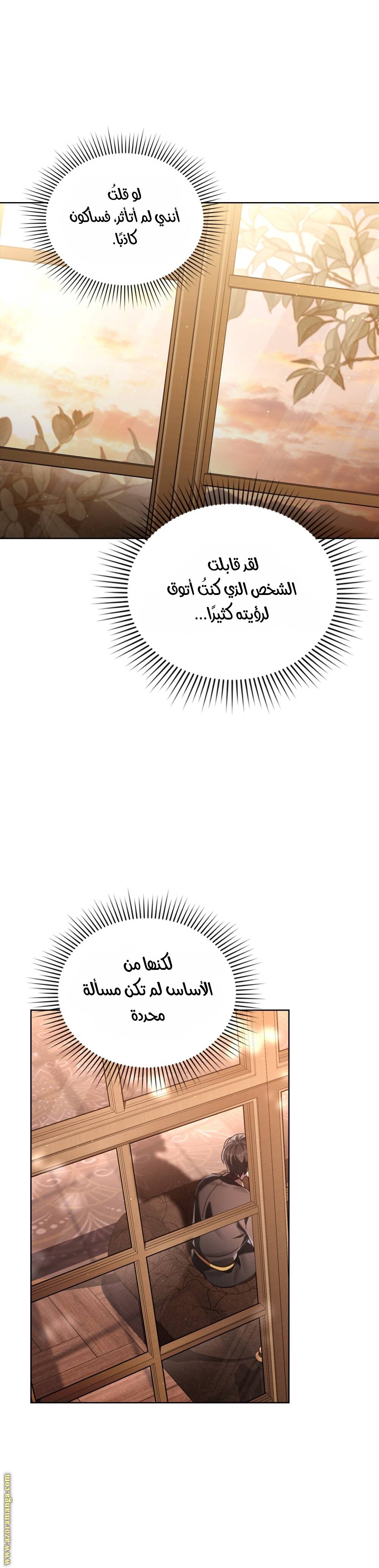الصفحة 27
