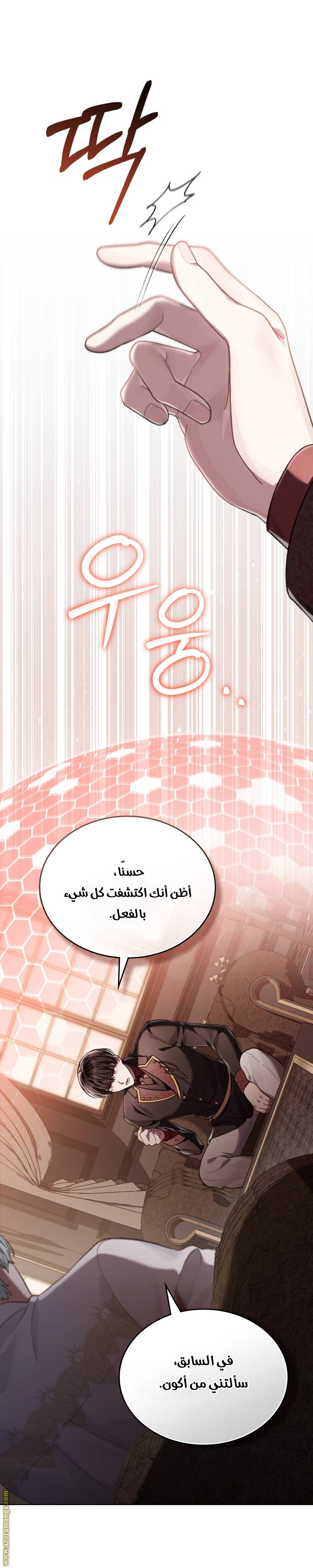 الصفحة 29