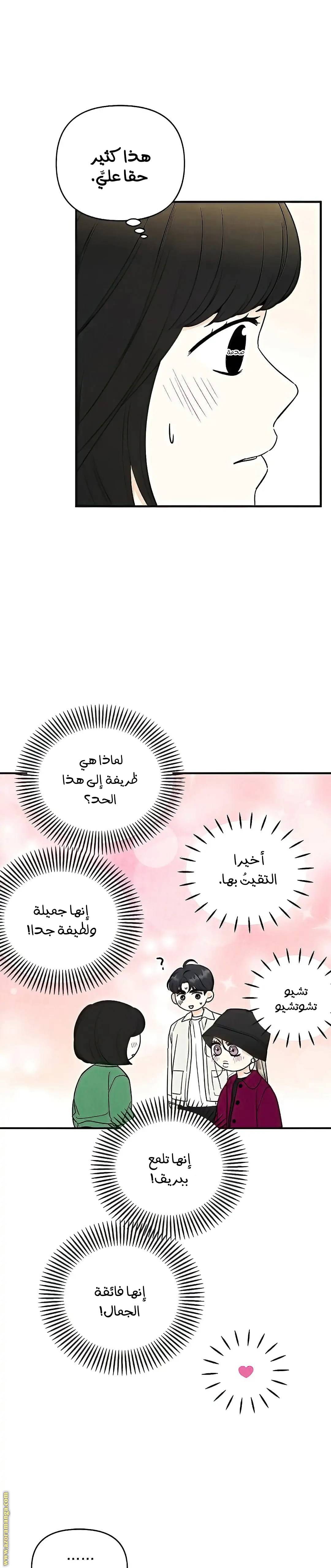 الصفحة 14