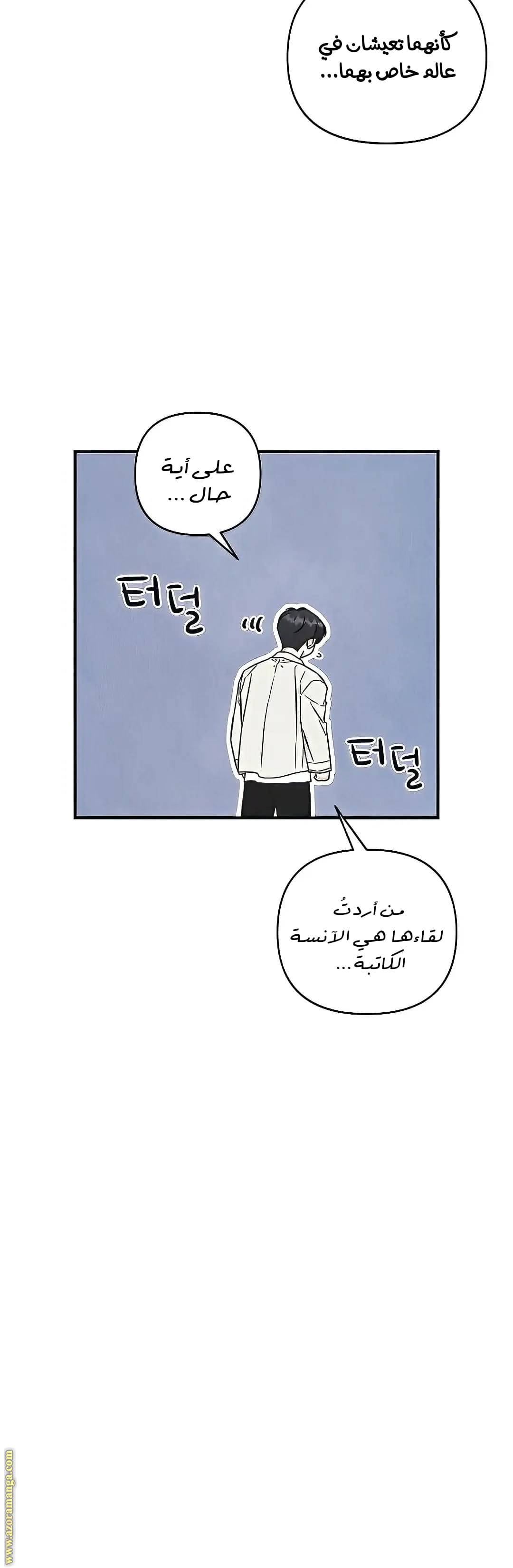 الصفحة 17