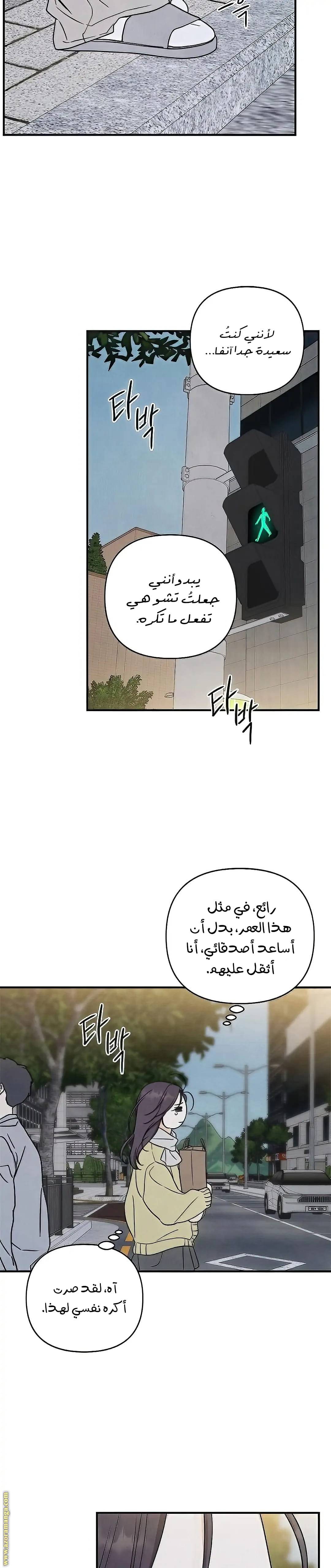 الصفحة 19