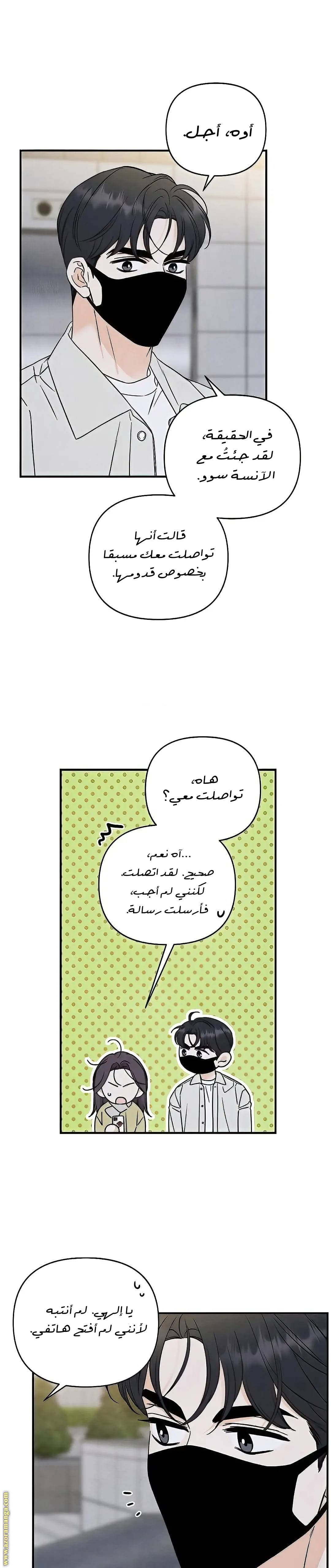 الصفحة 25