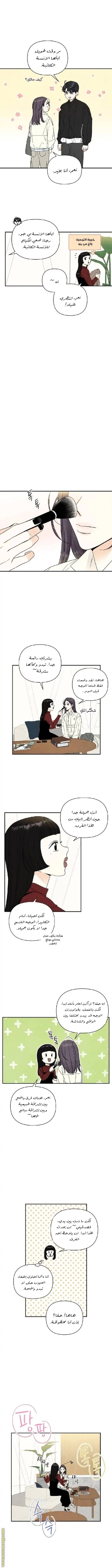 الصفحة 3