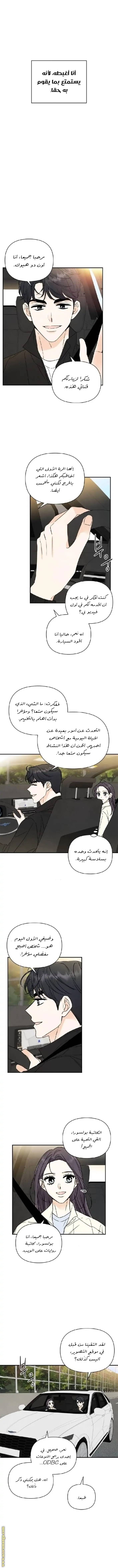 الصفحة 7