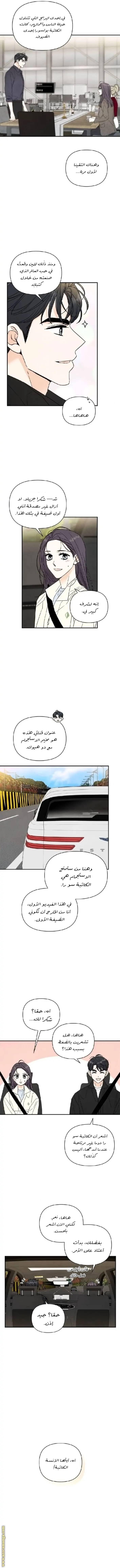 الصفحة 8