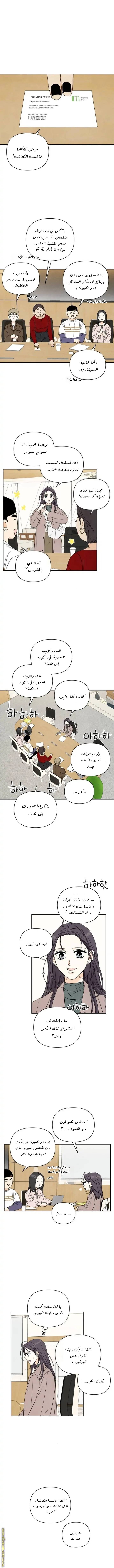 الصفحة 7