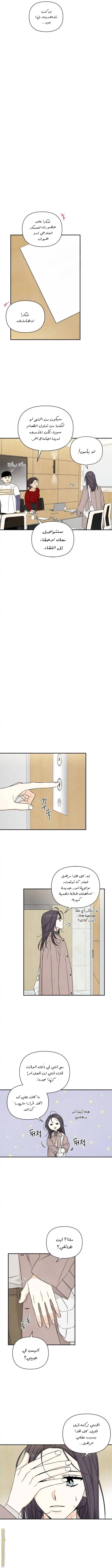الصفحة 8