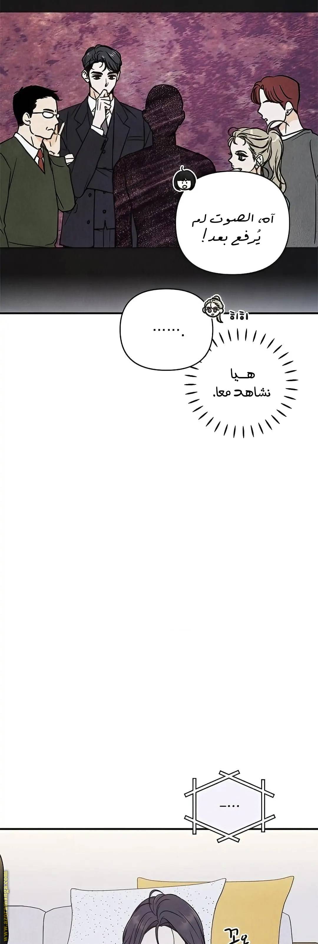 الصفحة 17