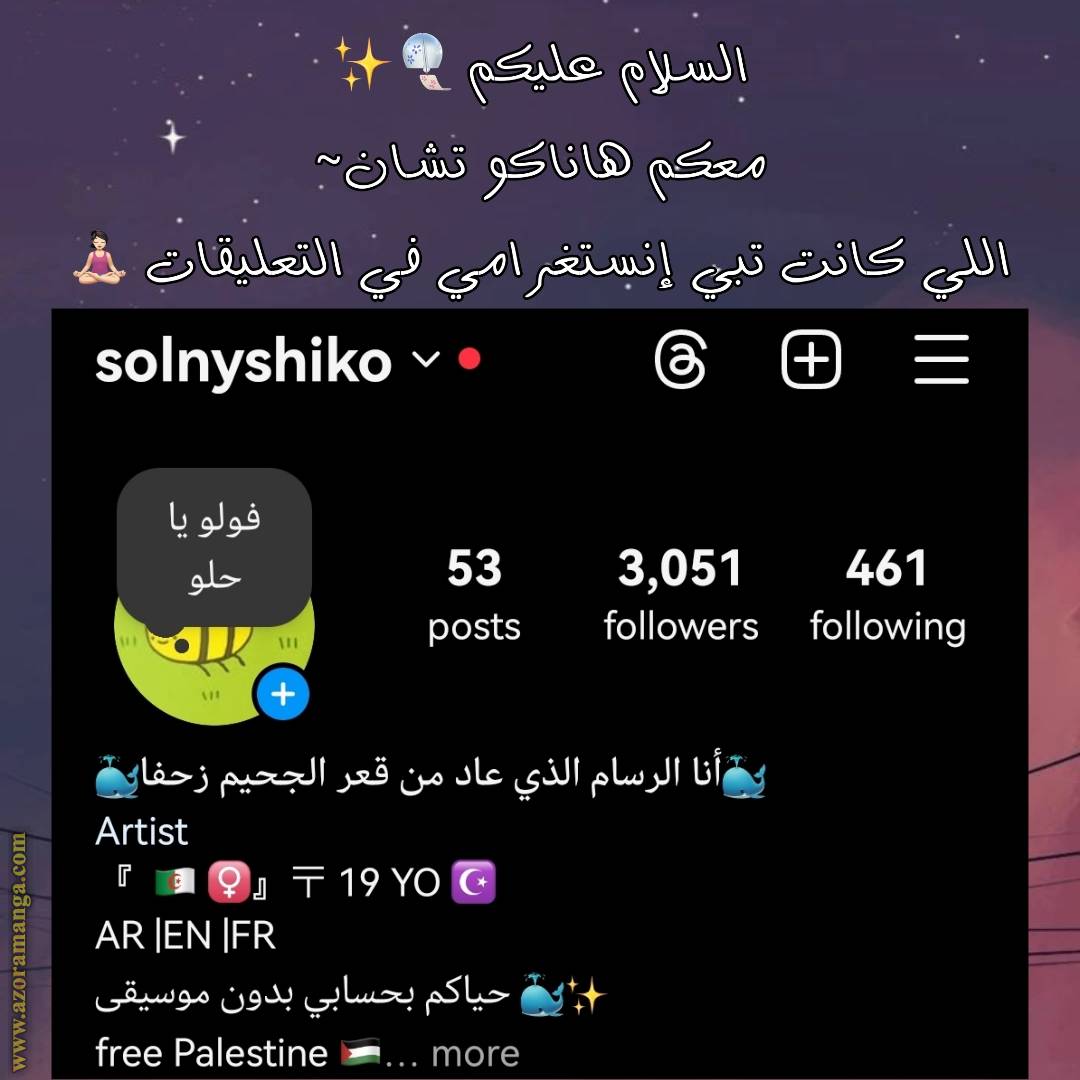 الصفحة 17