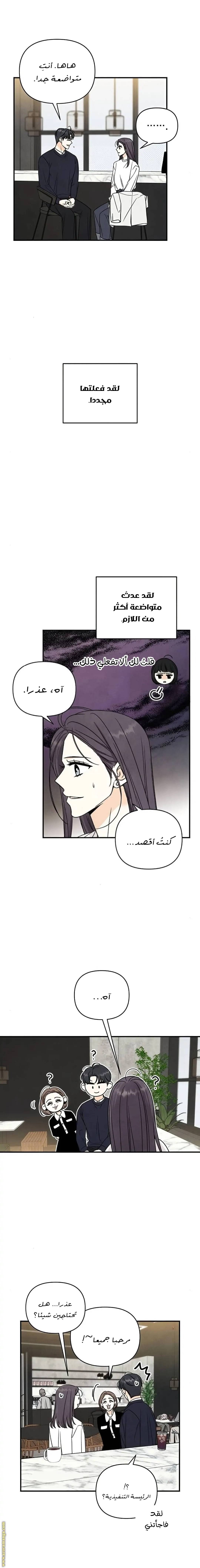 الصفحة 13