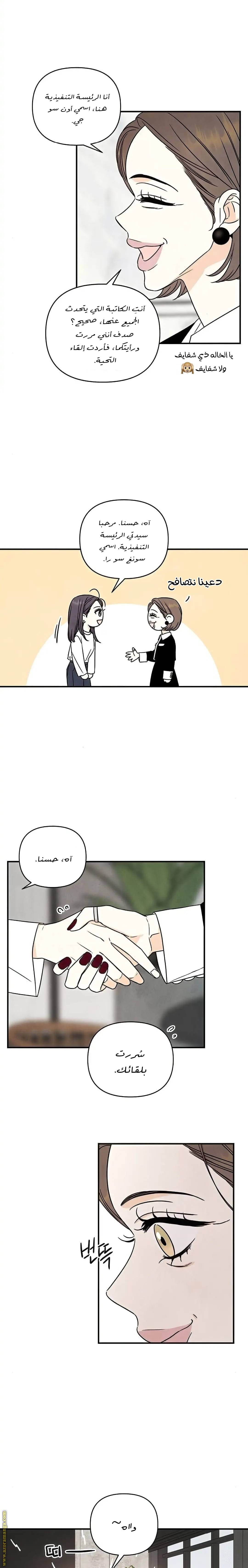 الصفحة 14