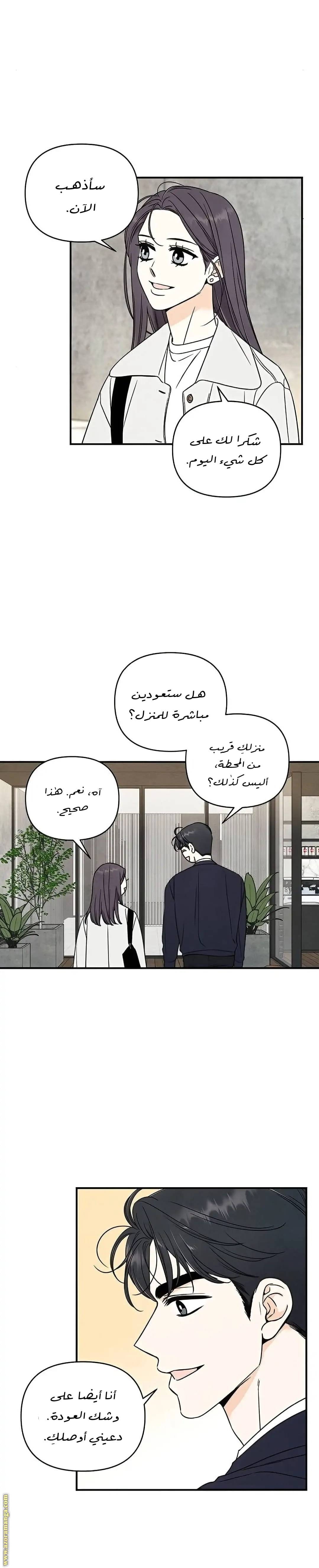 الصفحة 17