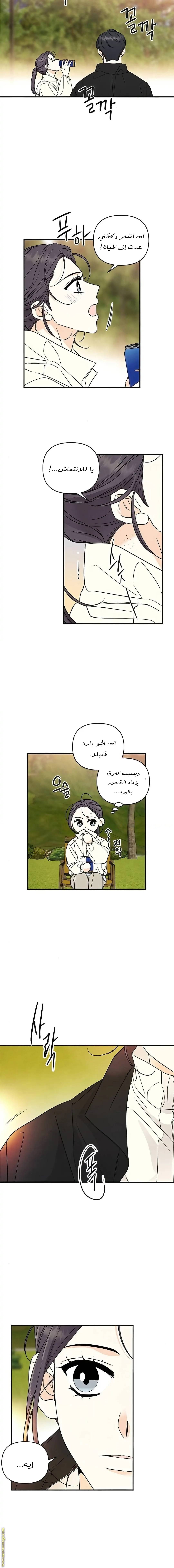 الصفحة 11