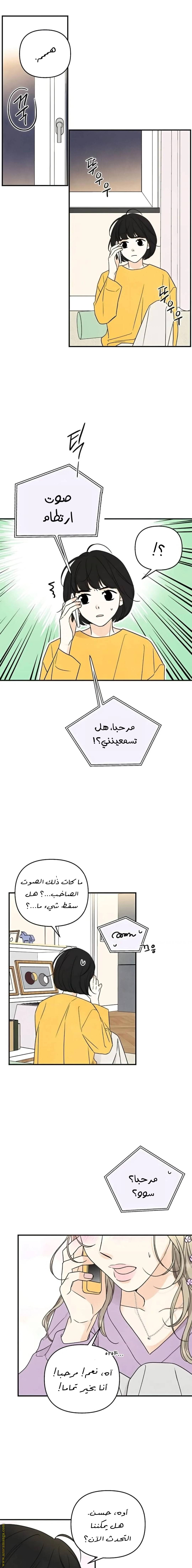 الصفحة 11