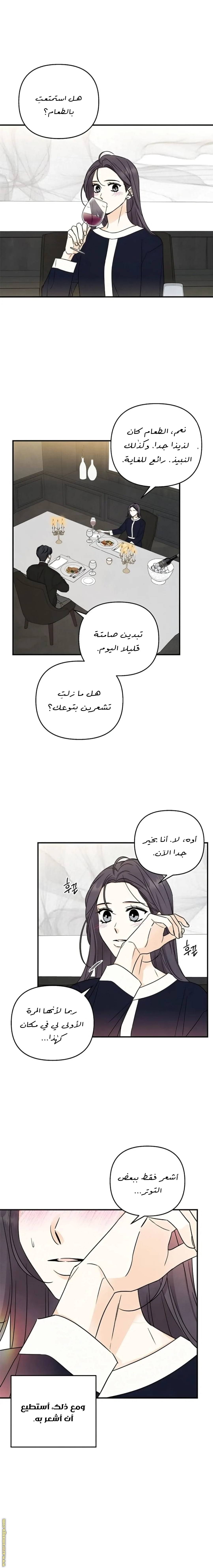 الصفحة 13