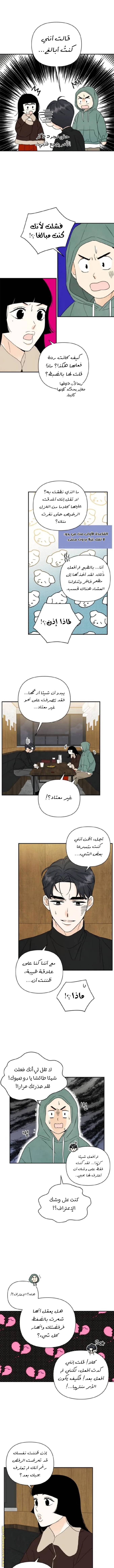 الصفحة 5