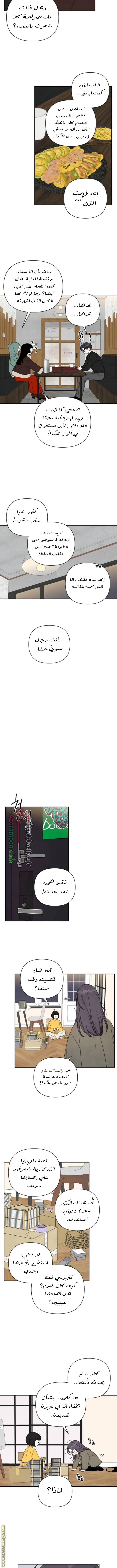 الصفحة 6