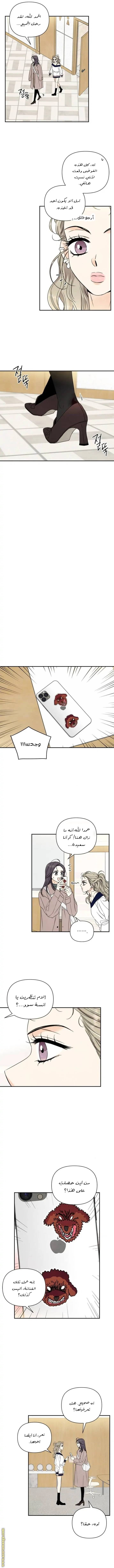 الصفحة 7