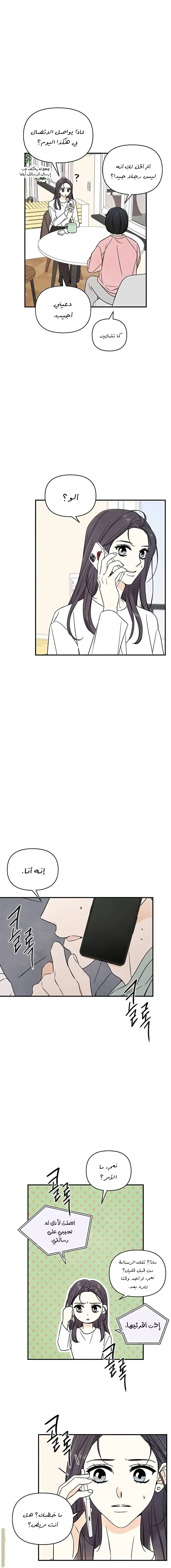 الصفحة 5