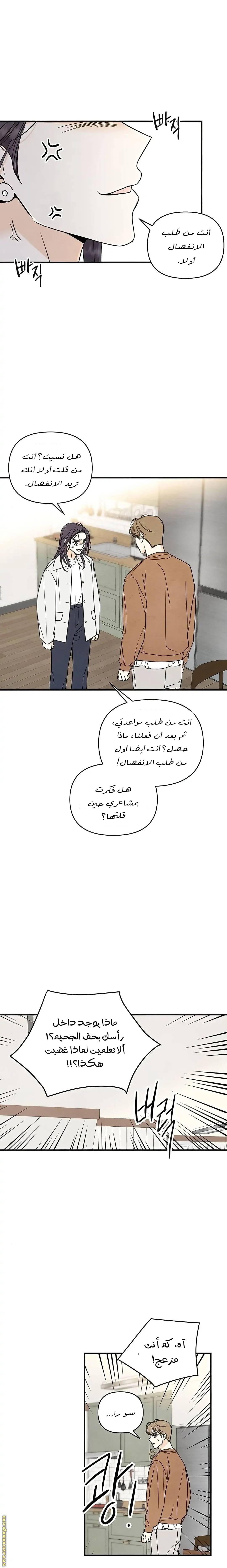 الصفحة 12