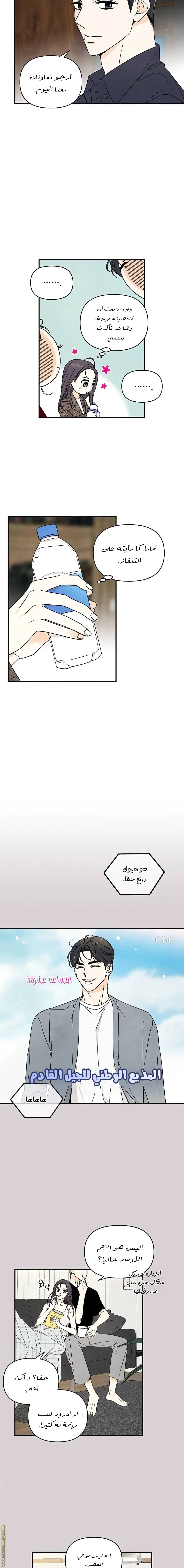 الصفحة 13