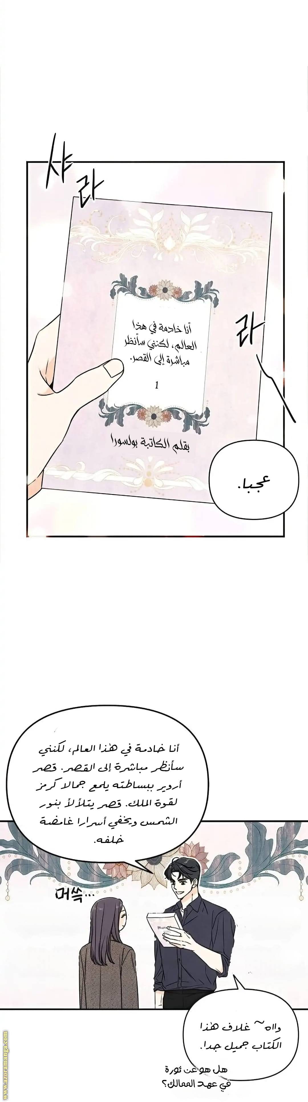 الصفحة 17