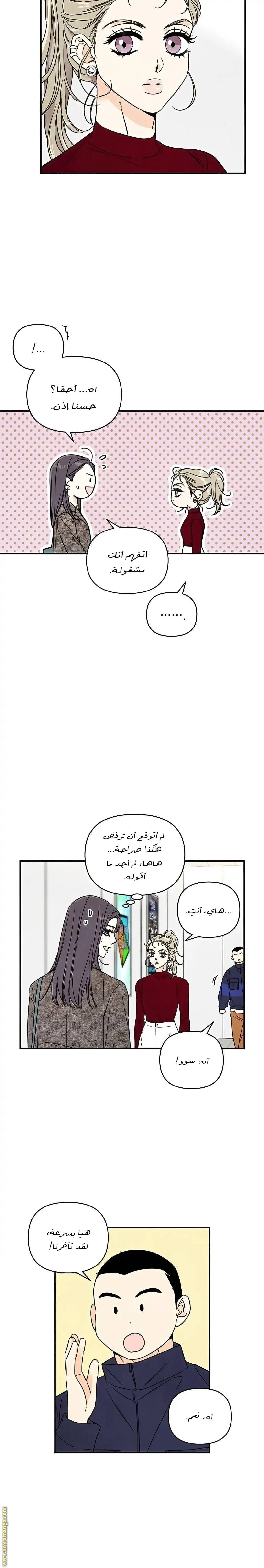 الصفحة 19