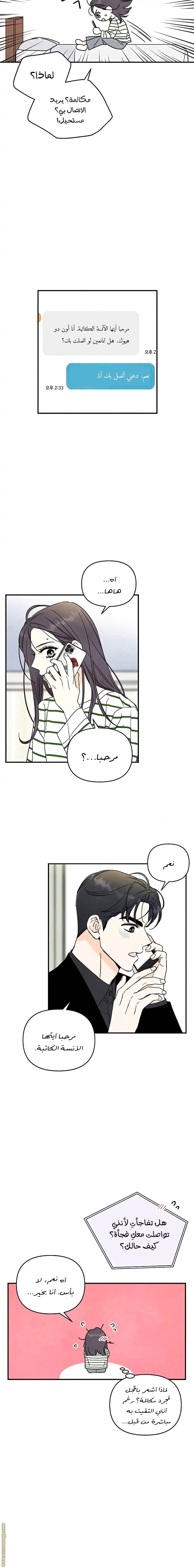 الصفحة 13