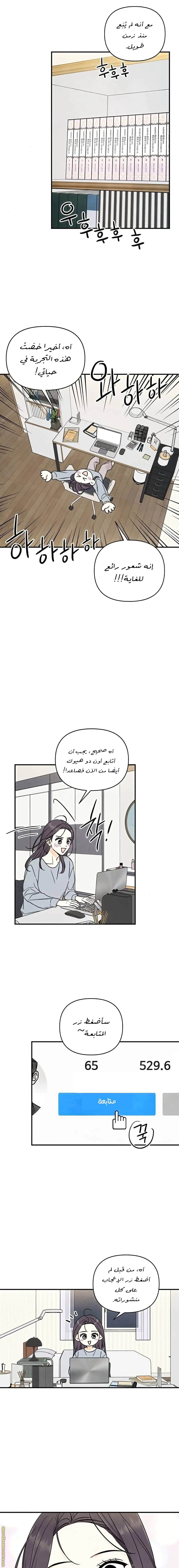 الصفحة 13