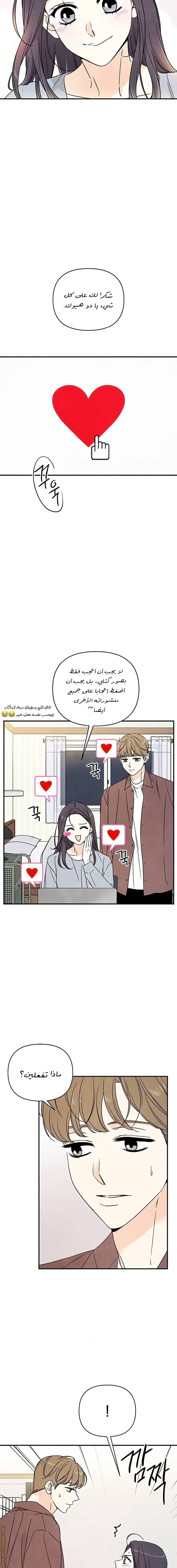 الصفحة 14