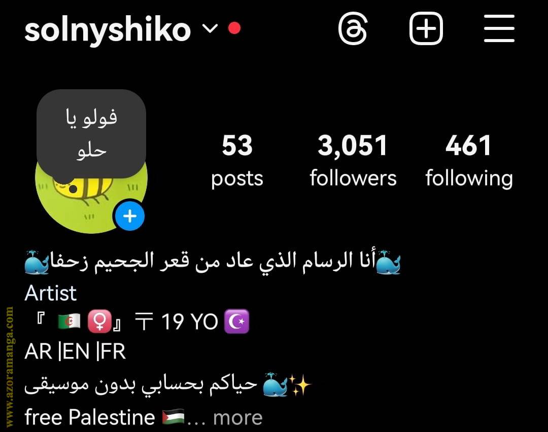 الصفحة 17