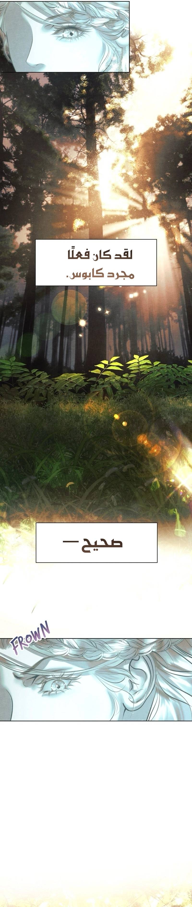 الصفحة 25