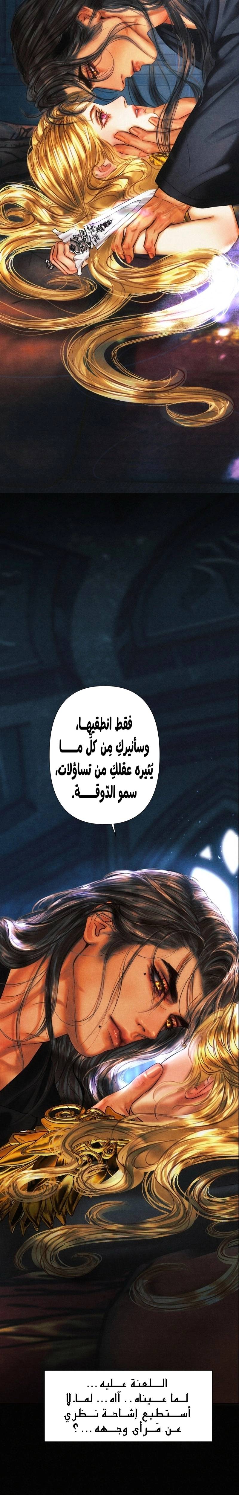 الصفحة 17