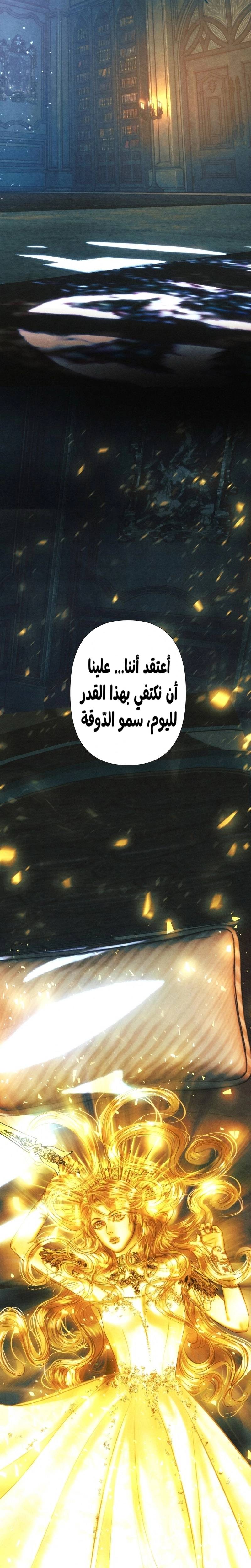 الصفحة 20