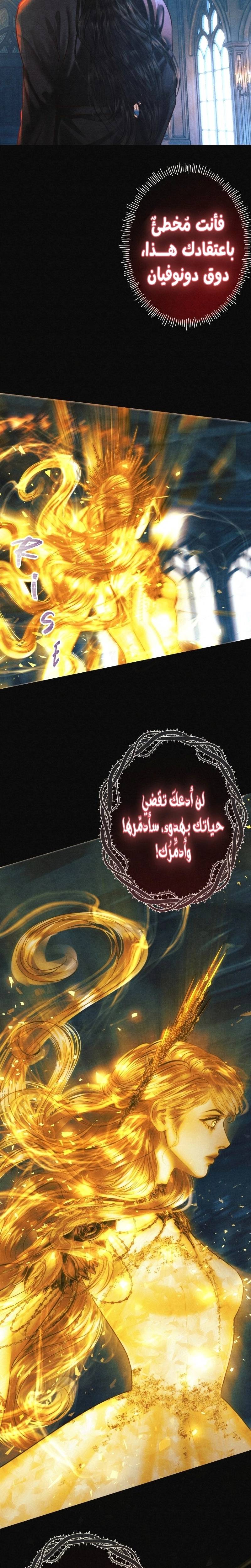 الصفحة 22