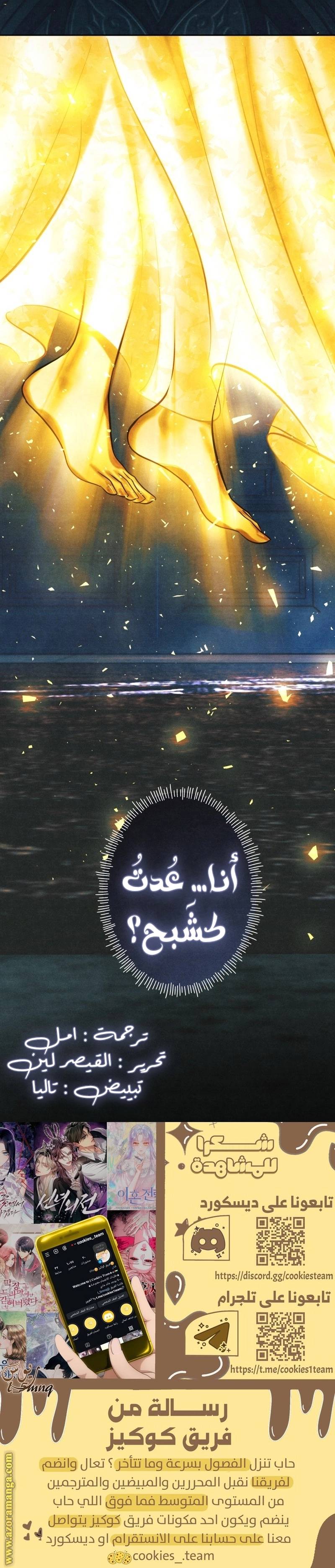 الصفحة 27