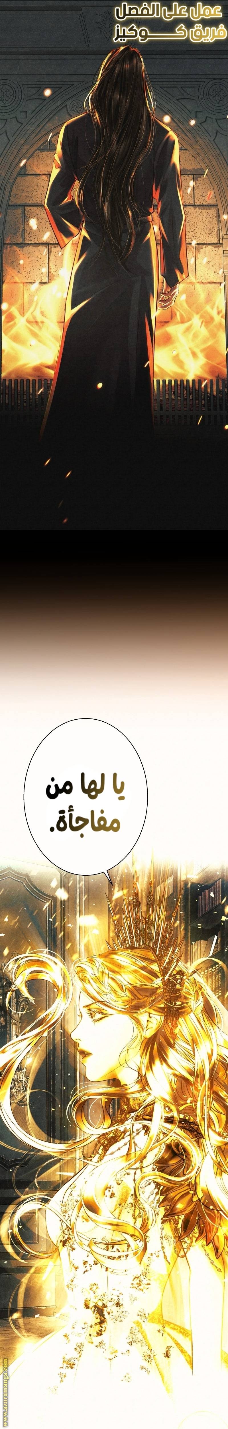 الصفحة 29