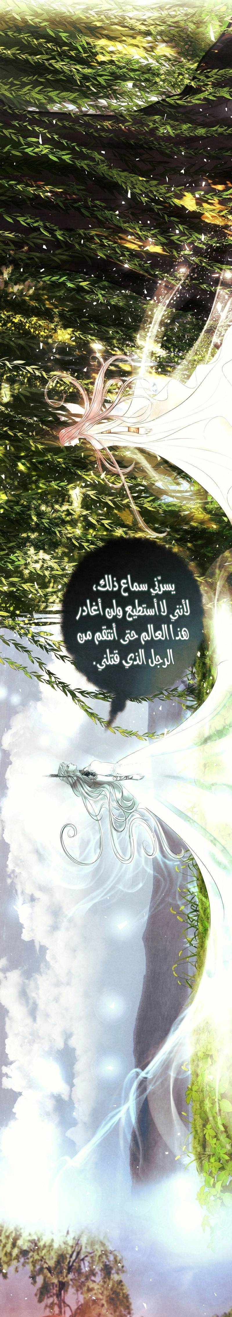 الصفحة 22