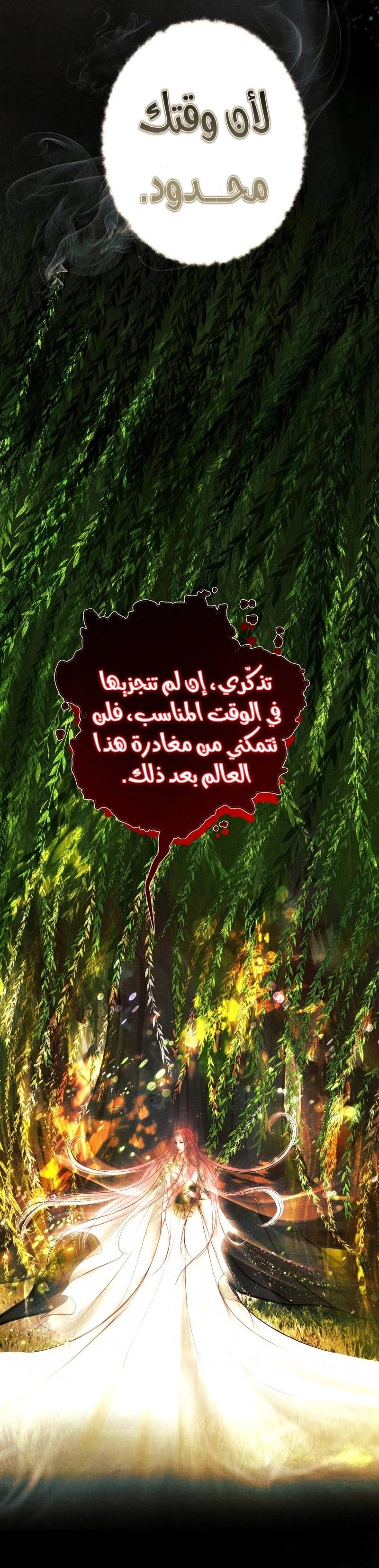 الصفحة 31